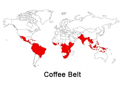 Coffee Belt