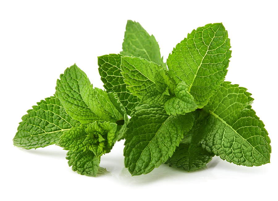 spearmint