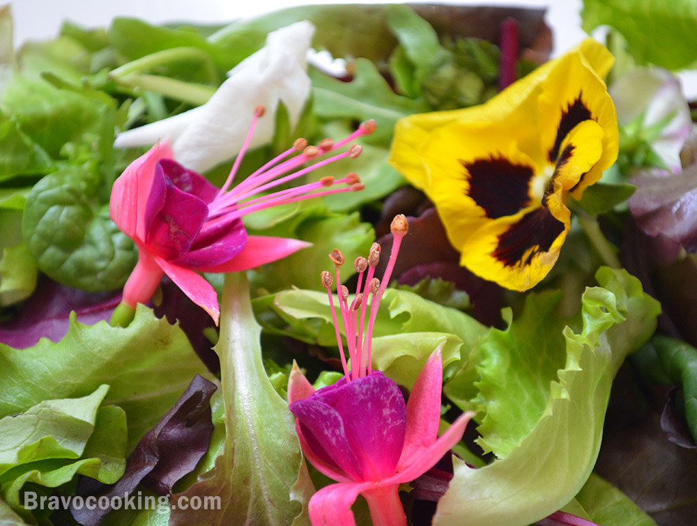 How to grow and pick edible flowers